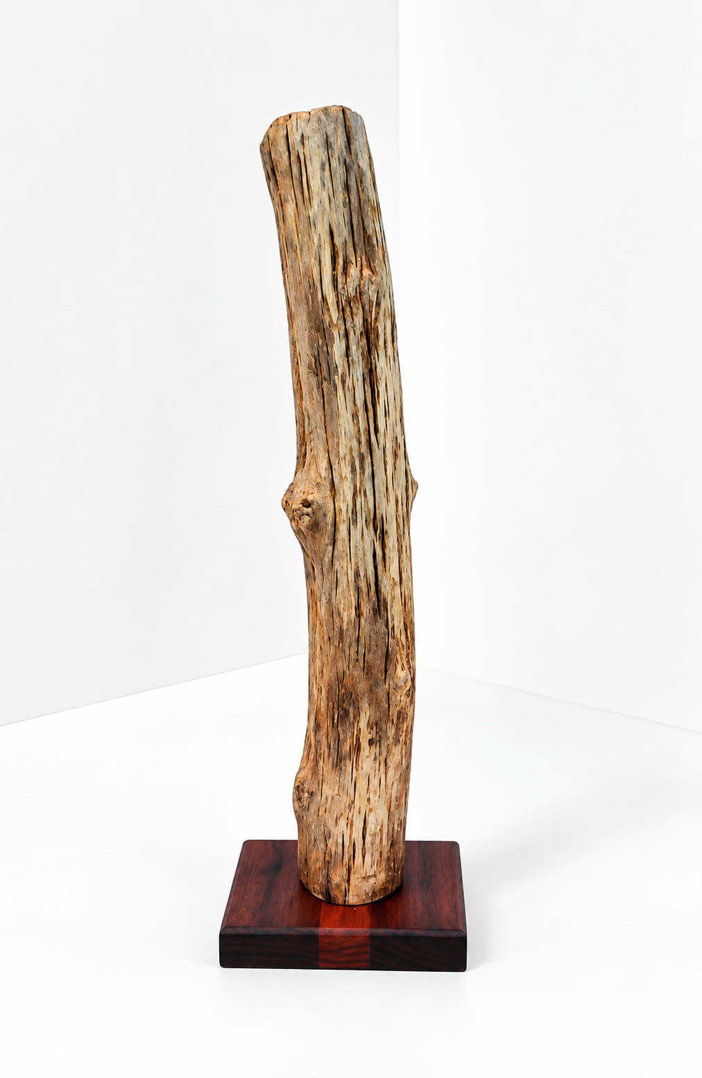 Driftwood LED Light